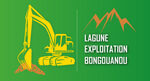 logo-leb